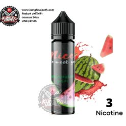 Nice To Meet You WaterMelon Gum