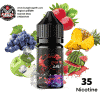 Salt Nic G Project Plus