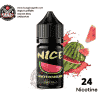 Salt Nic Nice Watermelon