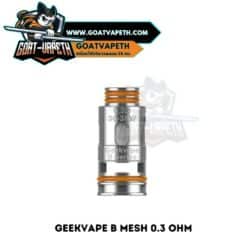 Geekvape B Mesh 0.3 Ohm Single