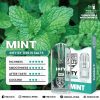THIS IS SALT INFY POD MINT