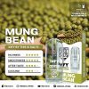THIS IS SALT INFY POD MUNG BEAN