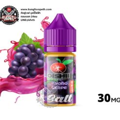 OISHII KYOHO GRAPE SALTNIC