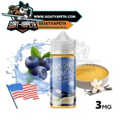 Custard Monster Blueberry 100ml