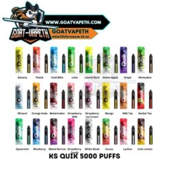 KS QUIK 5000 Puffs
