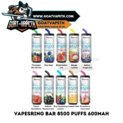 Vapesring Bar 8500 Puffs