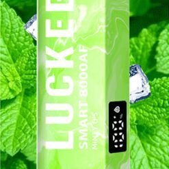 Luckee Smart 8000AF Puffs Minty O'S