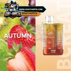 Ebcreate TE 6000 Puffs Autumn