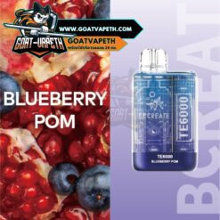 Ebcreate TE 6000 Puffs Blueberry Pom