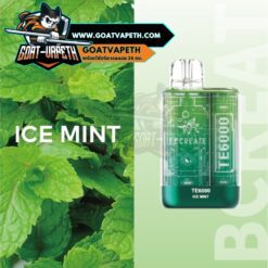 Ebcreate TE 6000 Puffs Ice Mint