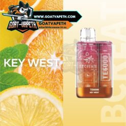 Ebcreate TE 6000 Puffs Key West