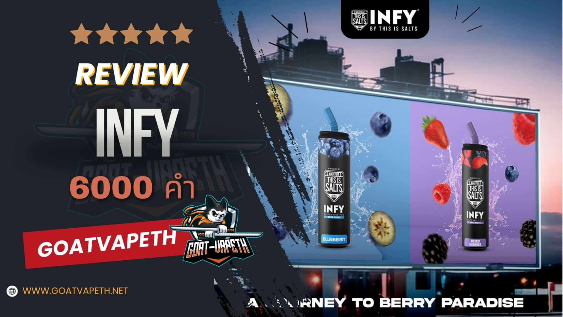 รีวิว INFY 6000 Puffs