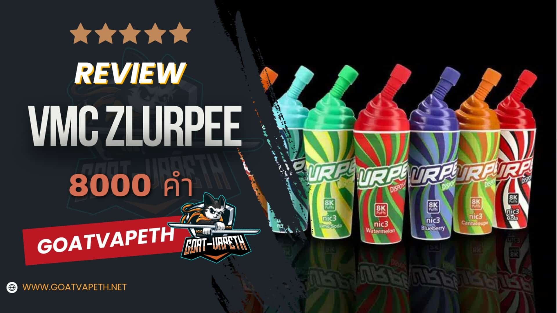 รีวิว VMC ZLURPEE 8000คำ