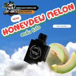 หัว Snowwolf 16000คำ Hoenydew Melon