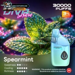 RELX DIVA 30000คำ Spearmint